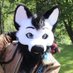 Foxer (@foxer_1) Twitter profile photo Foxer (@foxer_1) Twitter profile photo