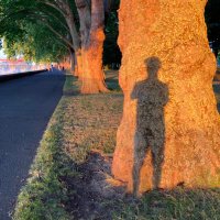 Julian Harrison (@julianpharrison) 's Twitter Profile