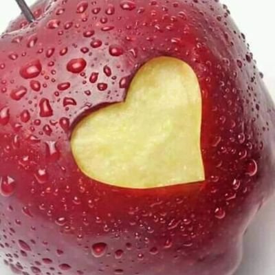 SaeydwezaW's profile picture. 