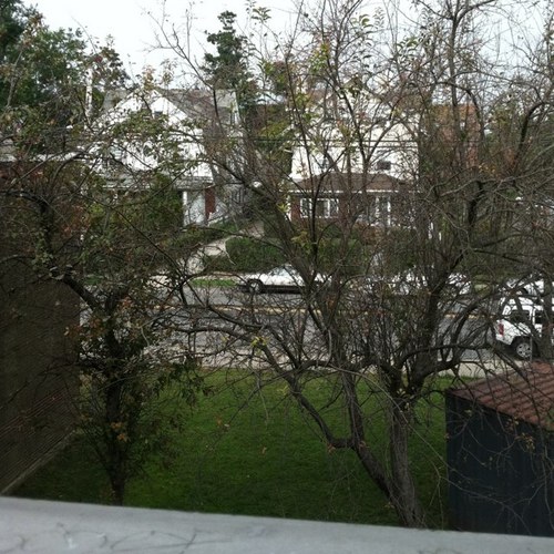 PumpedupKicks1's profile picture. 