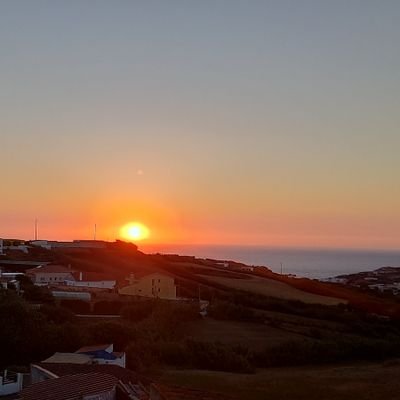 Roberto49362341's profile picture. 