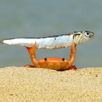 poderchenko's profile picture. El mundo se ha movido.