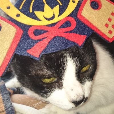 osaru1285's profile picture. キャンプとイベントの事呟きます/Osotoasobi実行委員長/ネオ世紀末organizer(お休み中)あつまれ世紀末村organizer/MADサバの元producer/♪/lynch./I  LOVE SNOOPY/
#キャンプ好きな人と繋がりたい
#Osotoasobi In Ichihara