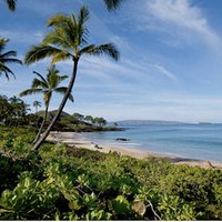 Island Ergonomics (@islandergo) 's Twitter Profile