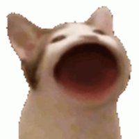 splop (@splopguy) 's Twitter Profile