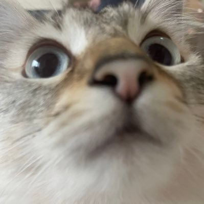 y0212ss's profile picture. éŠåæ
åŸð倧éªäœ å¢ããã ãã§ãð»