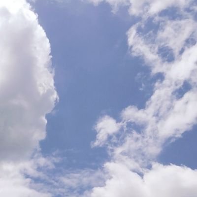 RAUさんのプロフィール画像