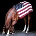 RICO Gonna Bite Trump's Ass (@carmensheretoo) Twitter profile photo RICO Gonna Bite Trump's Ass (@carmensheretoo) Twitter profile photo