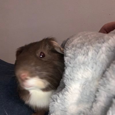 aaron_demott_'s profile picture. 