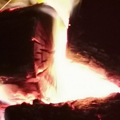 BybrainNFT's profile picture. NFT@Art