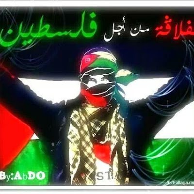 SouheilAbdalla2's profile picture.