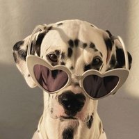 Yağmur (@_ytdiyolar) 's Twitter Profile