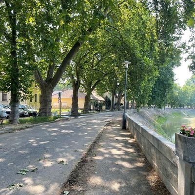 loved__36's profile picture. ⚛️John 3:16 🕊
☯️Leo
⚛️Let love Rule ❤️