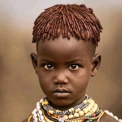 AlexMwa11938320's profile picture. I am a freelance writer who loves his indigenous culture and loves nature.