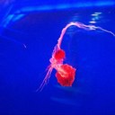 Zac Moore - @SuperBEAK14 - Twitter