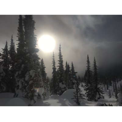 Investing - Hunting - Fishing - Sledding - Boating
Make Canada Awesome Again - Vote Pierre Poilievre