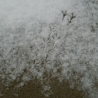 ricordi_frees1a's profile picture. 