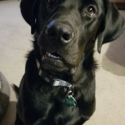 pauljbk's profile picture. 