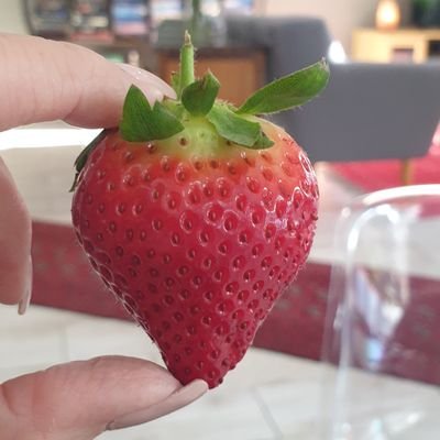 MagicalFairyg1's profile picture. Multi faceted. Aesthete. Activist. Humanitarian. Philanthropist. Executive Leadership Life Coach. Adventurer. Love travelling. Nature lover. Love Champagne.