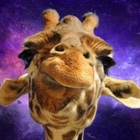 Zax (@zax347) 's Twitter Profile Photo Zax (@zax347) 's Twitter Profile Photo