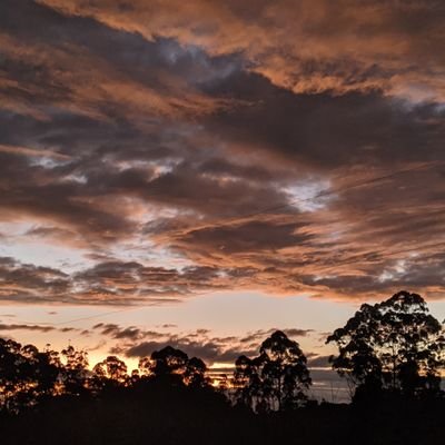 Now farm owner focusing on soils & pasture. Long experience in national public policy, legislation & research. Keen interest in economics, politics & science.