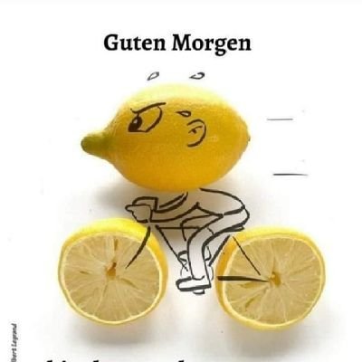 andrea_wurm's profile picture. satire