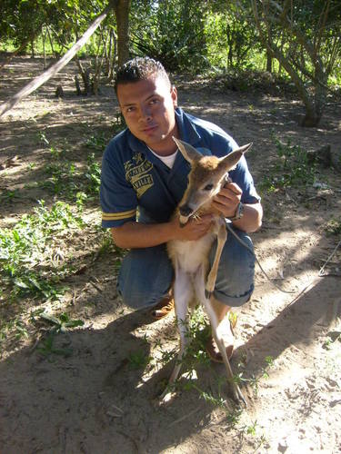 quevedo_juancar's profile picture. soy un hombre  que le gusta aprender de los demas para la vida