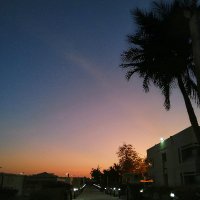 Ivy Lim (@nurse_expat) Twitter profile photo