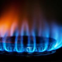 GasMarketView's profile picture. Analysis of the Gas market