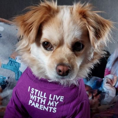 There is no excuse for animal abuse. Rescue Dogs. Artist. Volunteer for an organisation saving Romanian dogs from kill shelters 🌱💚