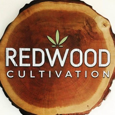 Redwoodlasvegas's profile picture. Las Vegas cannabis🌿 | Cultivating for top brands like Mike Tyson, Cheech n Chong, Future, Willie Nelson, Cookies, 22Red, HighTimes, Dizzy Wright, and more! 🚀