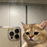 .D (@bubenolamam_0) 's Twitter Profile