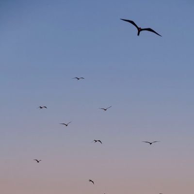 kantounette31's profile picture.