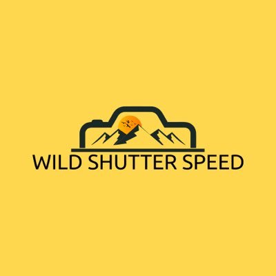Photographer focused on wildlife or whatever I come across.Follow on Instagram and TikTok                                        All photos are mine except RT’s