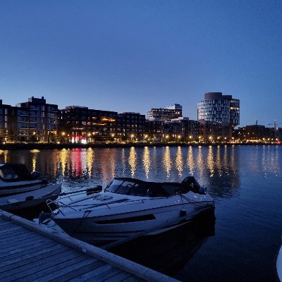 SalikEnequist's profile picture. 🇺🇦  🇾🇪