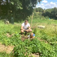 Darragh Walshe (@b0gsy) 's Twitter Profile