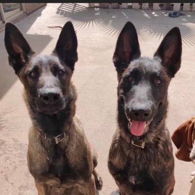 jenkh's profile picture. May take a week, may take longer, they got the guns, but we got the numbers. Gonna win, take over~Five To One, The Doors. Pink Floyd & Dark Mountain Project 💯