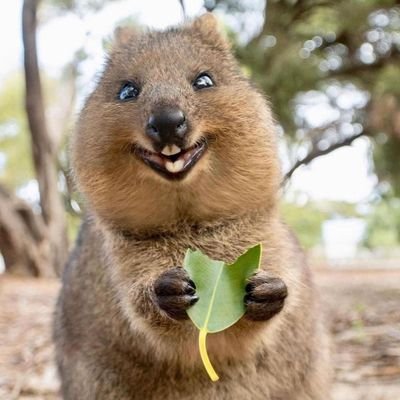 kvmac2011's profile picture. 