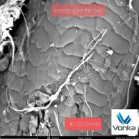 @AsbestVonka (@asbestagt) 's Twitter Profile