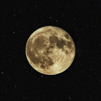 fullmoonfarm1 Profile Picture