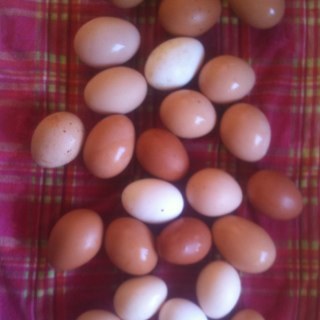 ZoeHoffman1's profile picture. hair and make up artist @ https://t.co/1AAlgjFihn