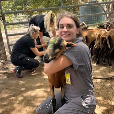 AmelieLegg's profile picture. ny | st.kitts rusvm '24