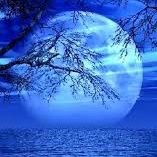 Mr_aloneness's profile picture. 