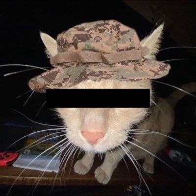 pulledout_'s profile picture. employed