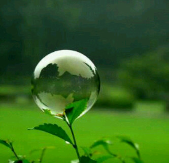 ymarduli's profile picture. 