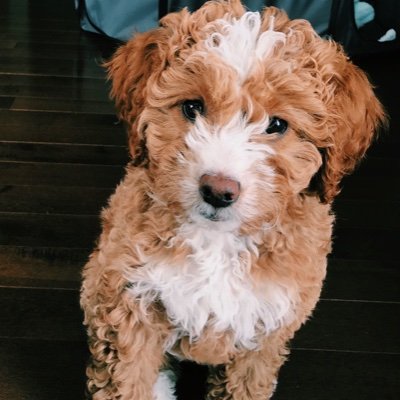 Bailey18861's profile picture. 