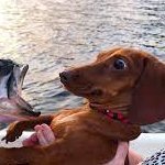 hund_ncht_duck Profile Picture