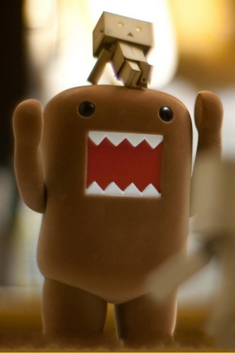 DTolksdorf1's profile picture. 