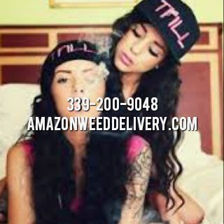 DracutMenu's profile picture. 508-250-0293 https://t.co/y5KBn0yFi9 MarjorieNanksL DRACUT MENU @DracutMenu #DracutMenu https://t.co/JikGFCa105 "Dracut Weed Delivery" "Amazon Weed Delivery"