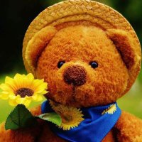 Onah Isaac (@onahisaac12) 's Twitter Profile